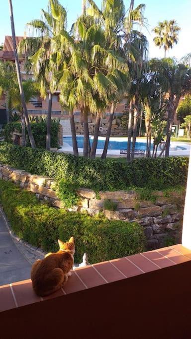 Planta Baja Cerca De La Playa Casares Costa Apartment Екстериор снимка